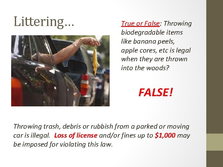 Littering… True or False: Throwing biodegradable items like banana peels, apple cores, etc is