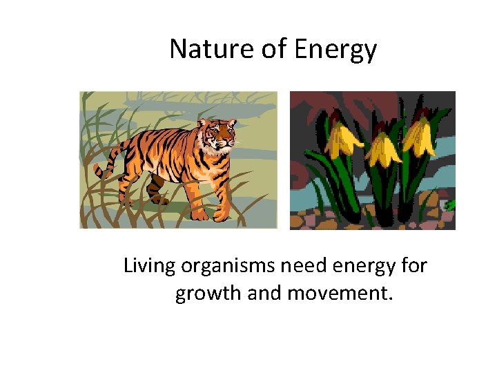 Nature of Energy Living organisms need energy for growth and movement. 