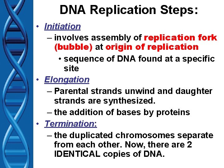DNA Replication Steps: • Initiation – involves assembly of replication fork (bubble) at origin