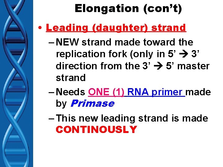 Elongation (con’t) • Leading (daughter) strand – NEW strand made toward the replication fork