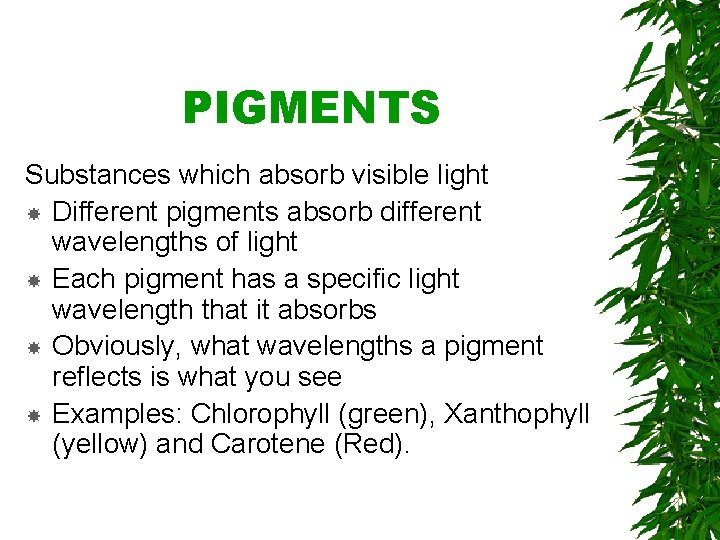 PIGMENTS Substances which absorb visible light Different pigments absorb different wavelengths of light Each