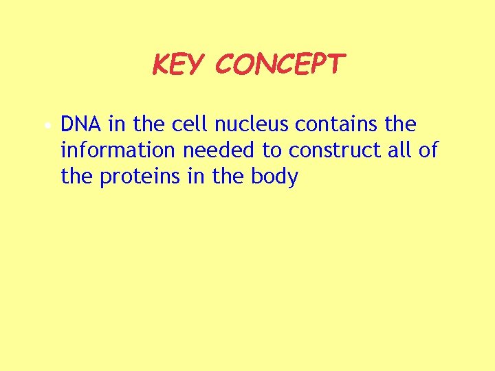 KEY CONCEPT • DNA in the cell nucleus contains the information needed to construct