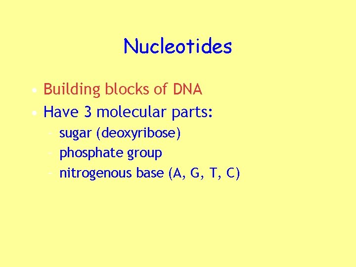 Nucleotides • Building blocks of DNA • Have 3 molecular parts: – sugar (deoxyribose)