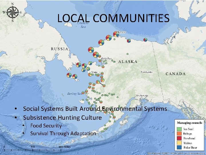 LOCAL COMMUNITIES • Social Systems Built Around Environmental Systems • Subsistence Hunting Culture •