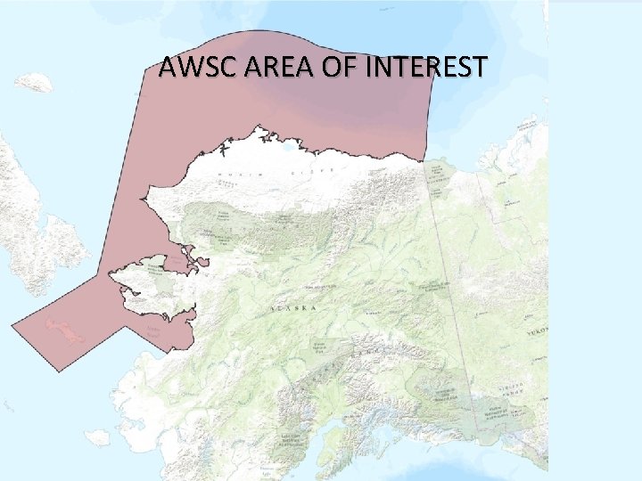About [Company/Group Name] AWSC AREA OF INTEREST Hydrographic Services Review Panel Juneau, Alaska 5