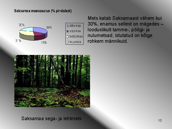 Mets katab Saksamaast vähem kui 30%, enamus sellest on mägedes -looduslikult tamme-, pöögi- ja