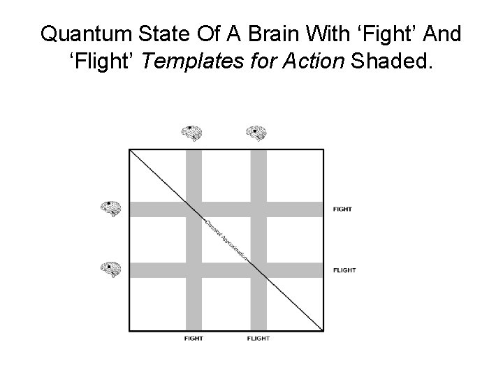 Quantum State Of A Brain With ‘Fight’ And ‘Flight’ Templates for Action Shaded. 