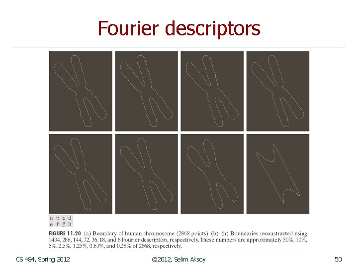 Fourier descriptors CS 484, Spring 2012 © 2012, Selim Aksoy 50 