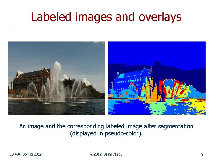 Labeled images and overlays An image and the corresponding labeled image after segmentation (displayed