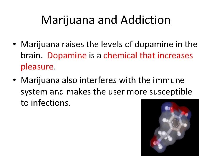 Marijuana and Addiction • Marijuana raises the levels of dopamine in the brain. Dopamine