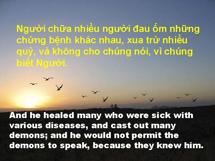 Người chữa nhiều người đau ốm những chứng bệnh khác nhau, xua trừ nhiều