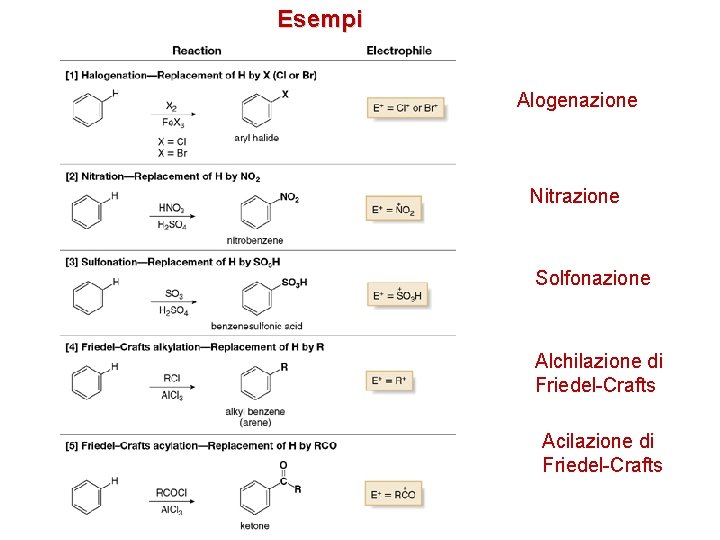 Esempi Alogenazione Nitrazione Solfonazione Alchilazione di Friedel-Crafts Acilazione di Friedel-Crafts 