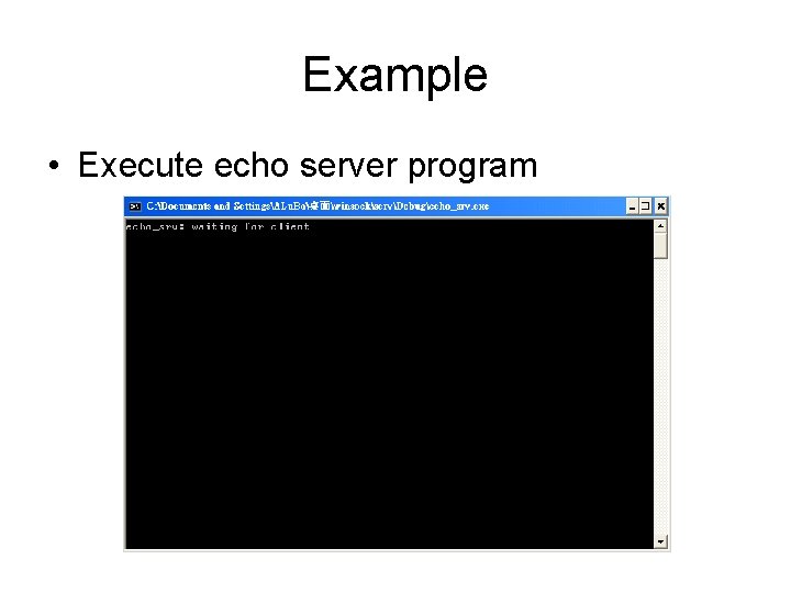 Example • Execute echo server program 