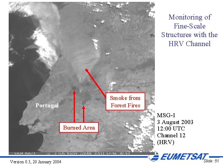 Monitoring of Fine-Scale Structures with the HRV Channel Smoke from Forest Fires Portugal Burned