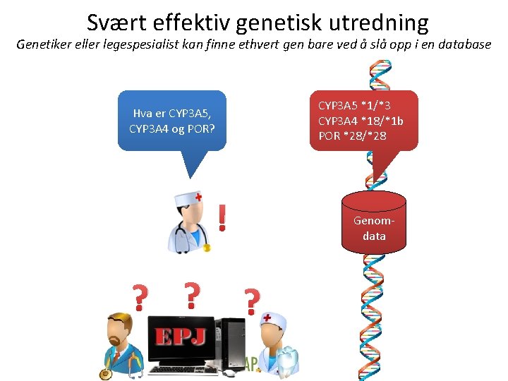 Svært effektiv genetisk utredning Genetiker eller legespesialist kan finne ethvert gen bare ved å