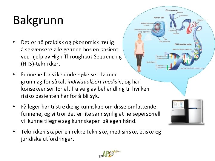 Bakgrunn • Det er nå praktisk og økonomisk mulig å sekvensere alle genene hos