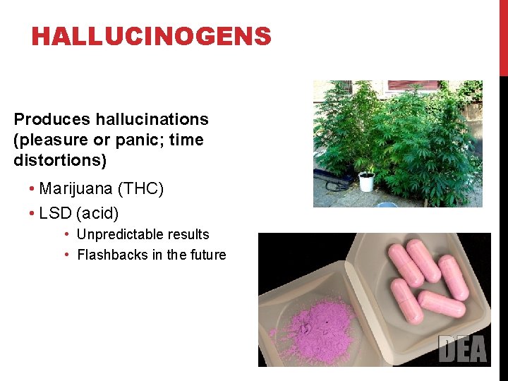 HALLUCINOGENS Produces hallucinations (pleasure or panic; time distortions) • Marijuana (THC) • LSD (acid)