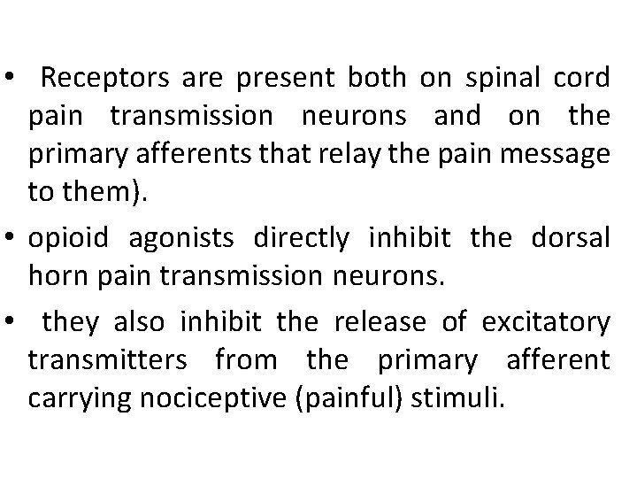  • Receptors are present both on spinal cord pain transmission neurons and on