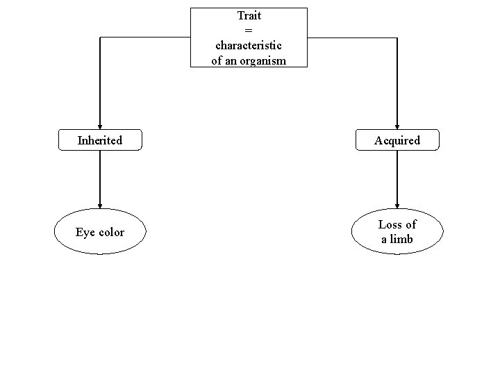 Trait = characteristic of an organism Inherited Acquired Eye color Loss of a limb