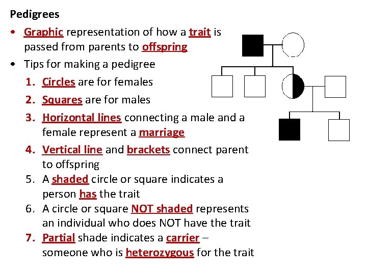 Pedigrees • Graphic representation of how a trait is passed from parents to offspring