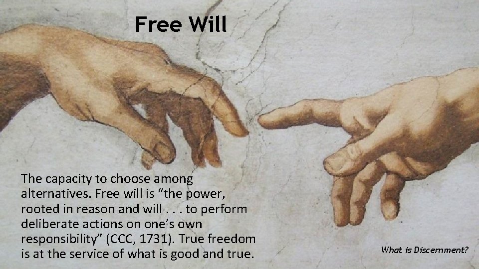 Free Will The capacity to choose among alternatives. Free will is “the power, rooted