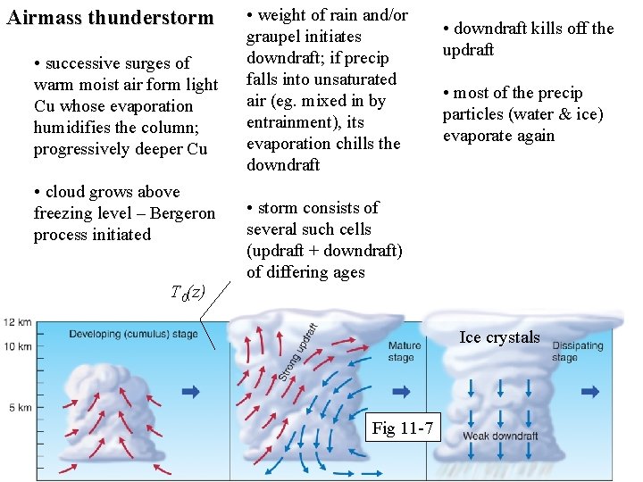 Airmass thunderstorm • successive surges of warm moist air form light Cu whose evaporation