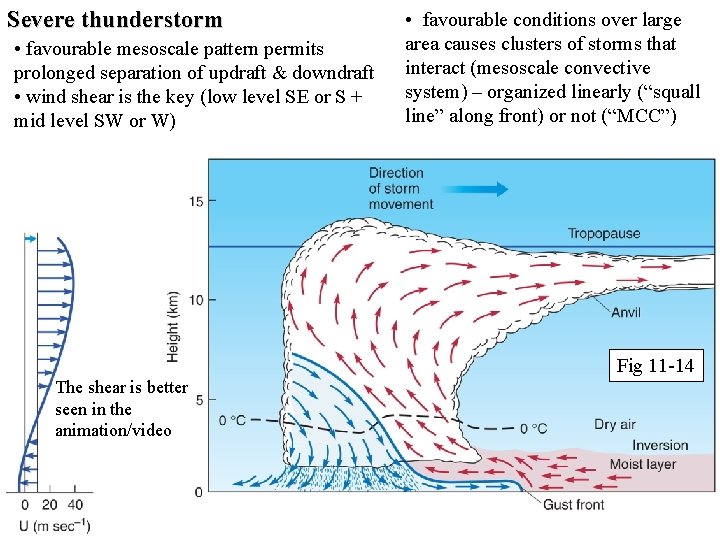 Severe thunderstorm • favourable mesoscale pattern permits prolonged separation of updraft & downdraft •