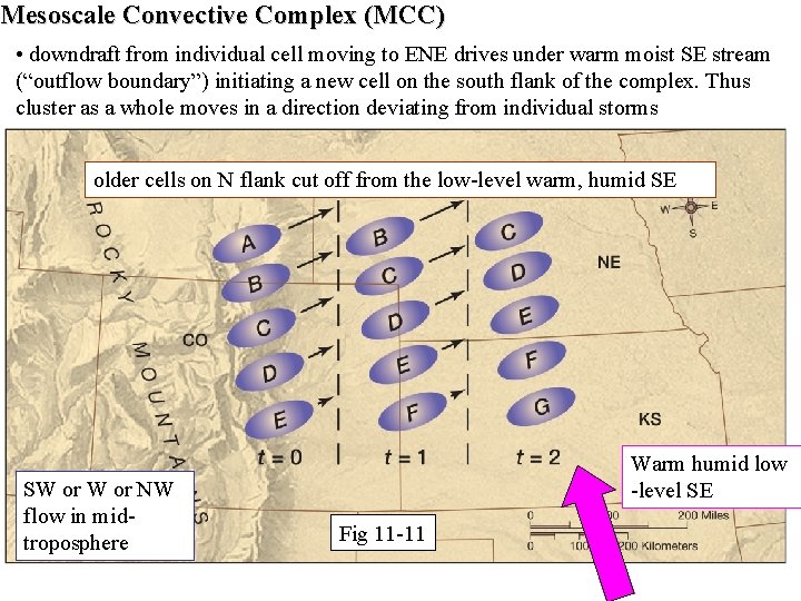 Mesoscale Convective Complex (MCC) • downdraft from individual cell moving to ENE drives under