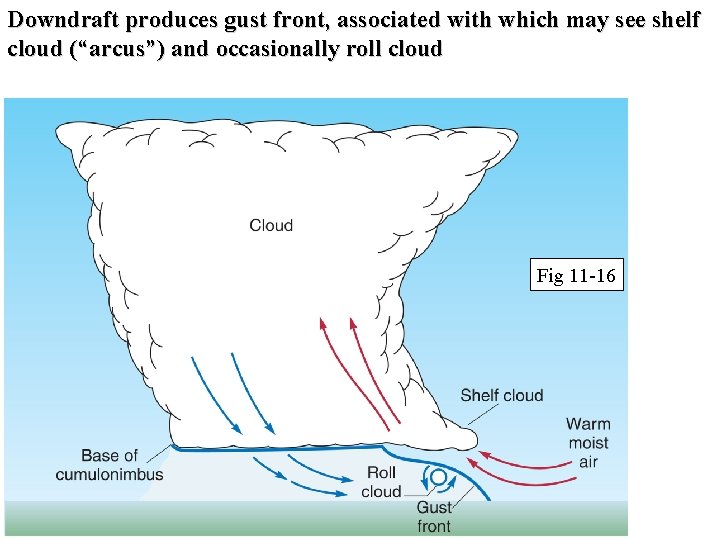 Downdraft produces gust front, associated with which may see shelf cloud (“arcus”) and occasionally