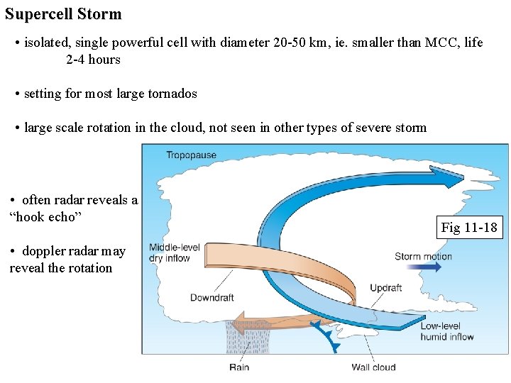 Supercell Storm • isolated, single powerful cell with diameter 20 -50 km, ie. smaller