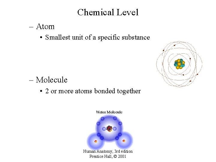 Chemical Level – Atom • Smallest unit of a specific substance – Molecule •