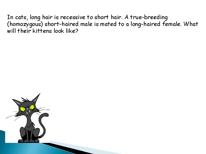 In cats, long hair is recessive to short hair. A true-breeding (homozygous) short-haired male In cats, long hair is recessive to short hair. A true-breeding (homozygous) short-haired male