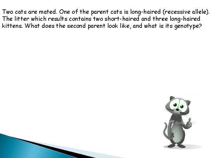 Two cats are mated. One of the parent cats is long-haired (recessive allele). The Two cats are mated. One of the parent cats is long-haired (recessive allele). The