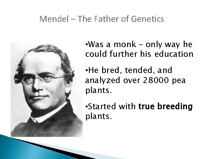Mendel – The Father of Genetics • Was a monk – only way he Mendel – The Father of Genetics • Was a monk – only way he