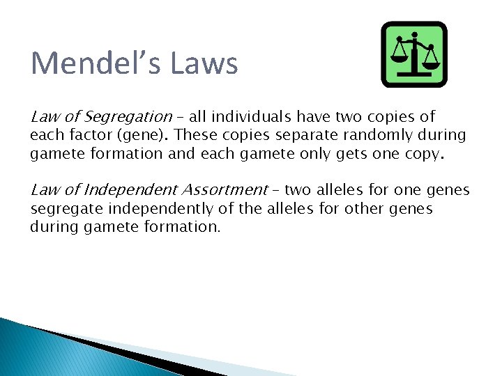Mendel’s Law of Segregation – all individuals have two copies of each factor (gene). Mendel’s Law of Segregation – all individuals have two copies of each factor (gene).