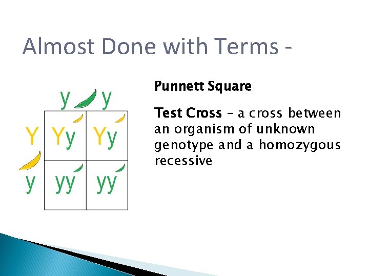 Almost Done with Terms Punnett Square Test Cross – a cross between an organism Almost Done with Terms Punnett Square Test Cross – a cross between an organism