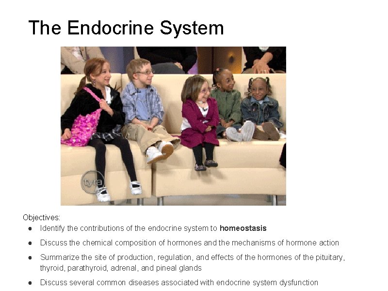 The Endocrine System Objectives Identify the contributions of