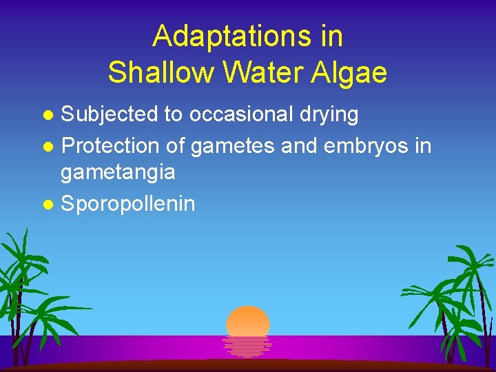 Adaptations in Shallow Water Algae Subjected to occasional drying l Protection of gametes and