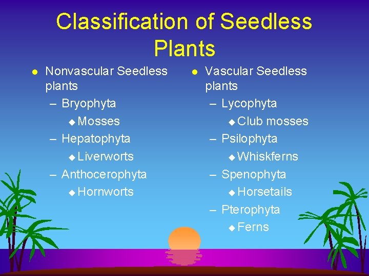 Classification of Seedless Plants l Nonvascular Seedless plants – Bryophyta u Mosses – Hepatophyta