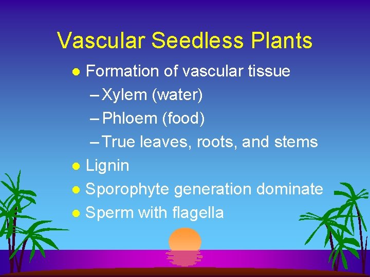 Vascular Seedless Plants Formation of vascular tissue – Xylem (water) – Phloem (food) –