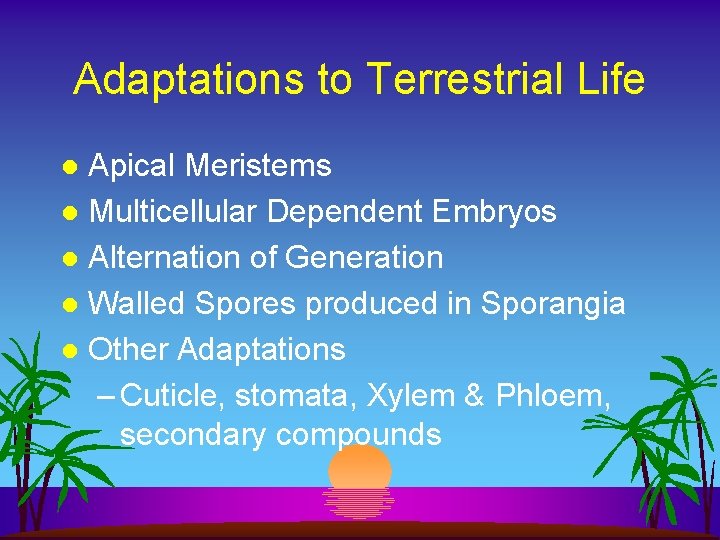 Adaptations to Terrestrial Life Apical Meristems l Multicellular Dependent Embryos l Alternation of Generation