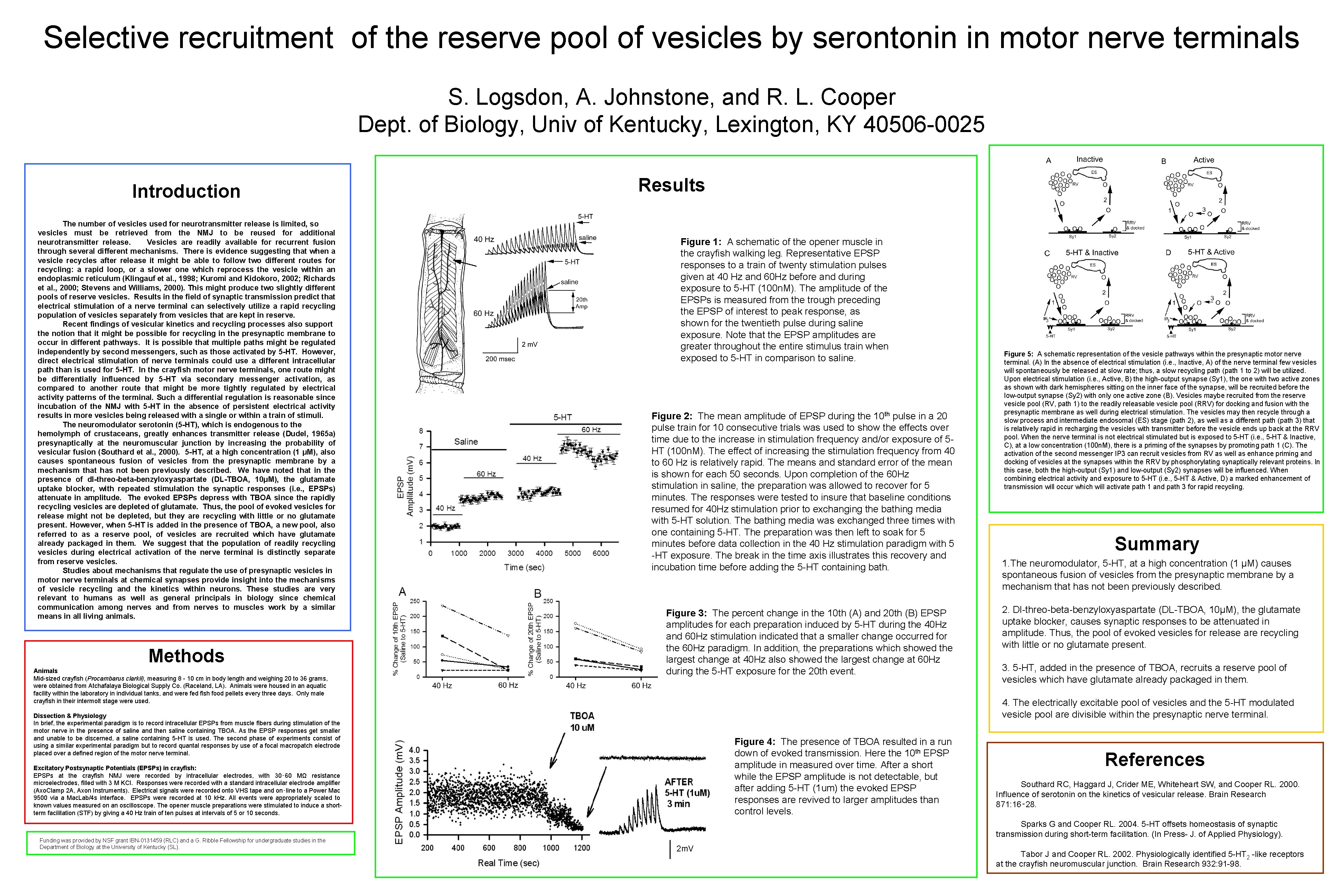 Selective recruitment of the reserve pool of vesicles by serontonin in motor nerve terminals Selective recruitment of the reserve pool of vesicles by serontonin in motor nerve terminals