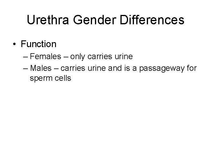 Urethra Gender Differences • Function – Females – only carries urine – Males –
