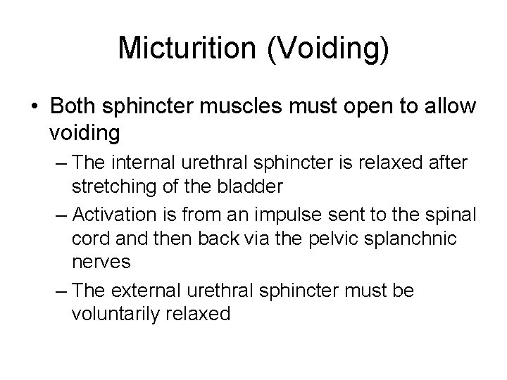 Micturition (Voiding) • Both sphincter muscles must open to allow voiding – The internal