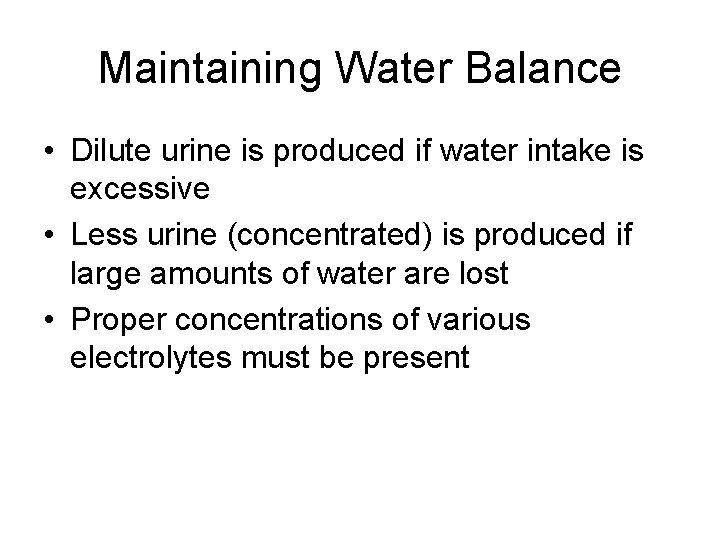 Maintaining Water Balance • Dilute urine is produced if water intake is excessive •