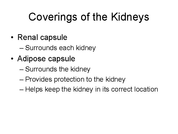 Coverings of the Kidneys • Renal capsule – Surrounds each kidney • Adipose capsule