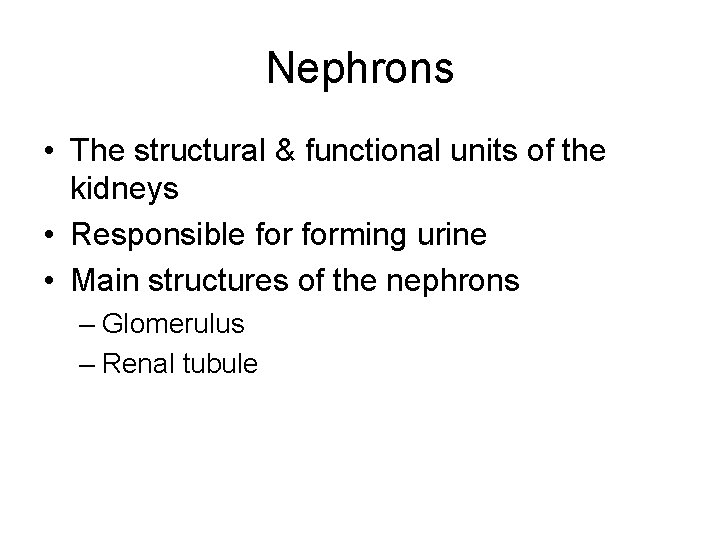 Nephrons • The structural & functional units of the kidneys • Responsible forming urine