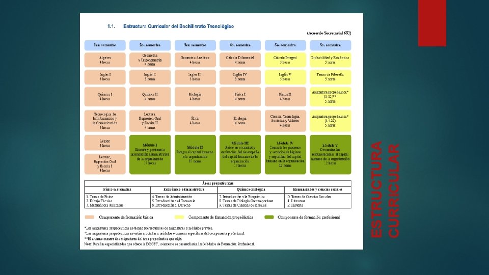 ESTRUCTURA CURRICULAR ESTRUCTURA CURRICULAR