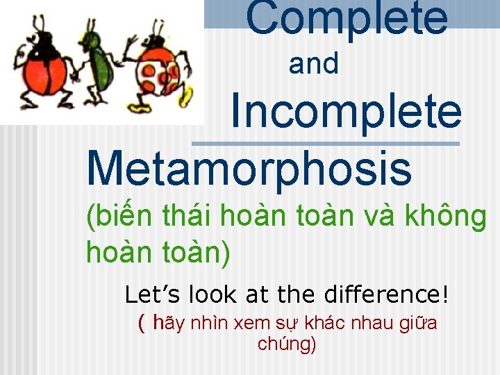Complete and Incomplete Metamorphosis (biến thái hoàn toàn và không hoàn toàn) Let’s look