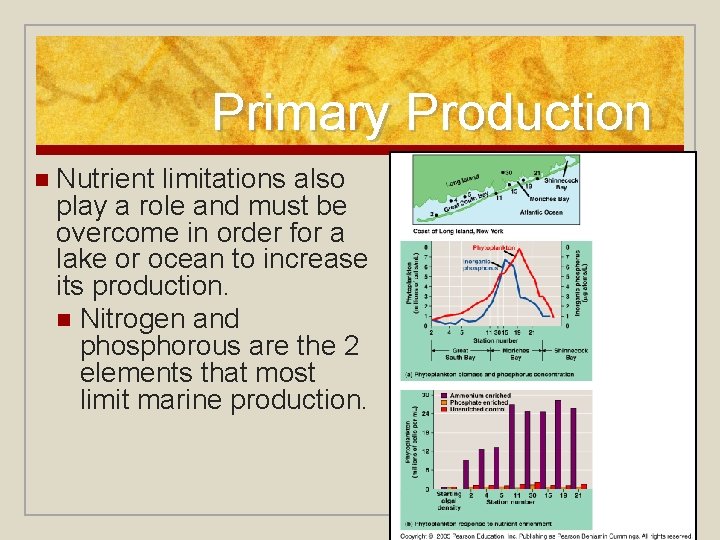 Primary Production n Nutrient limitations also play a role and must be overcome in